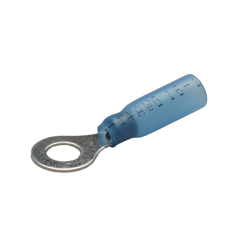 Ring connector 16-14 AWG #10 stud nylon insulated terminal